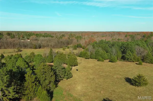 19723 Friendship Drive, Raymondville, MO 65555