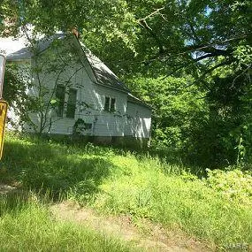 1117 Pine ST, Leadwood, MO 63653