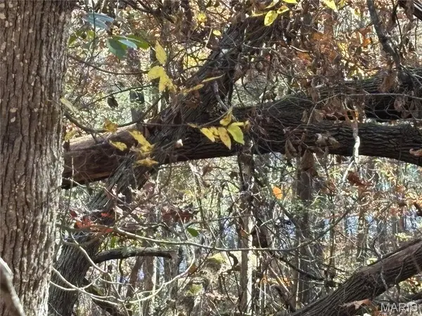 0000 Rose Marie Rd, Unincorporated, MO 63670