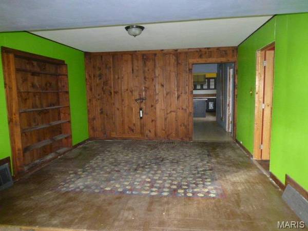 17095 N 17th AVE, Witt, IL 62094