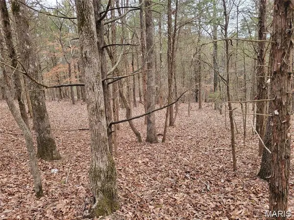 3423 Meyer RD, Festus, MO 63028
