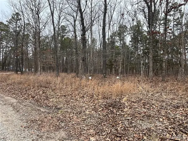 10246 Saw Mill RD, Potosi, MO 63664