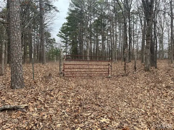 10246 Saw Mill RD, Potosi, MO 63664