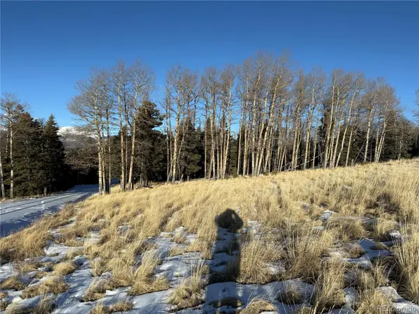 Lot 499 Collinson DR, Fort Garland, CO 81133