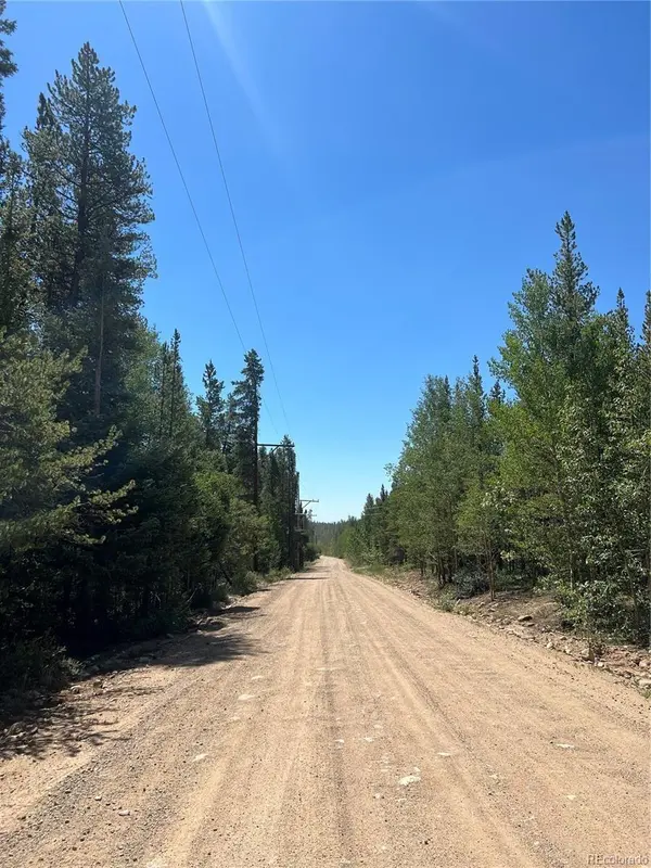 152 CO RD 665, Fairplay, CO 80440