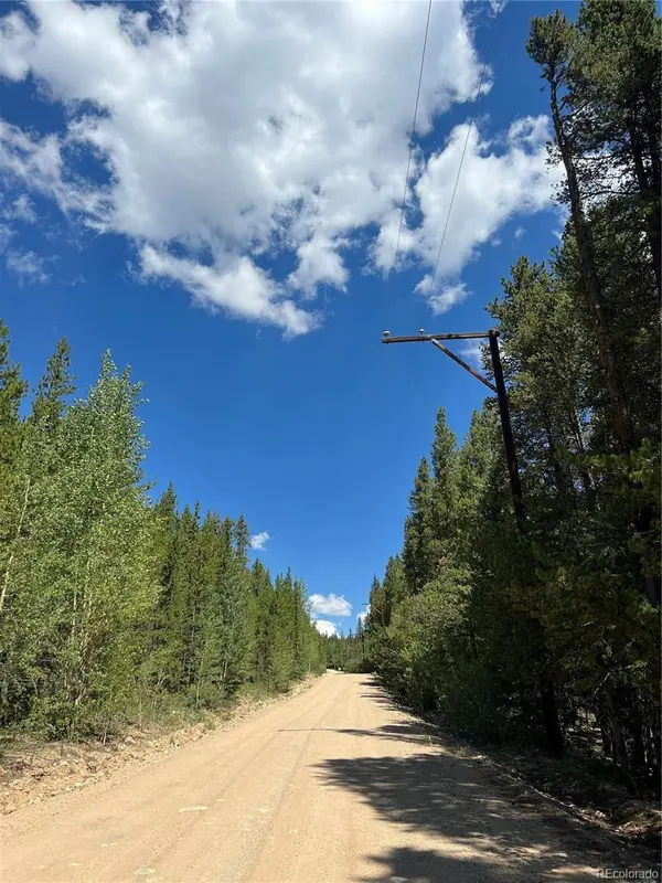 152 CO RD 665, Fairplay, CO 80440