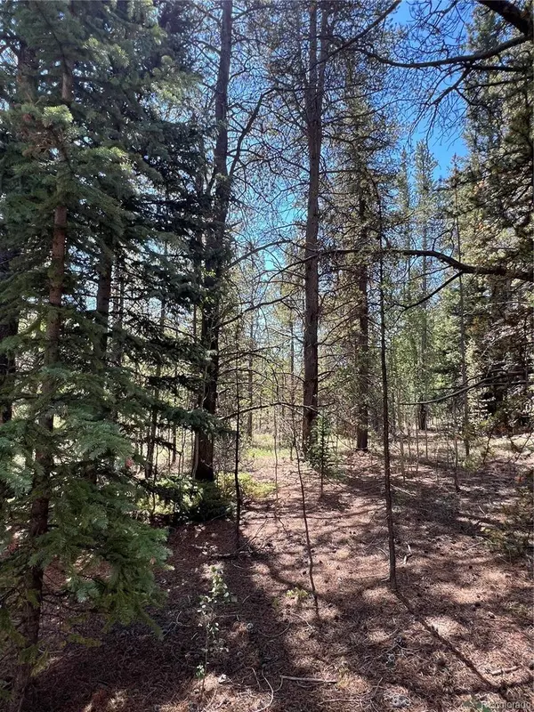 152 CO RD 665, Fairplay, CO 80440