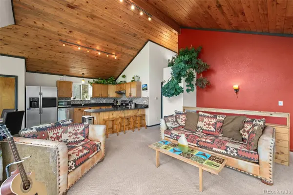 1682 Clark RD, Bailey, CO 80421