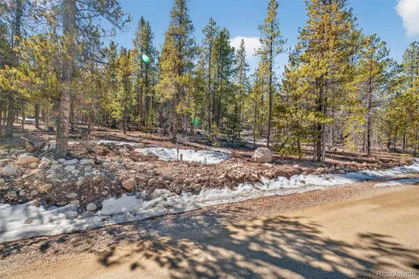 312 Mt Massive RD, Twin Lakes, CO 81251