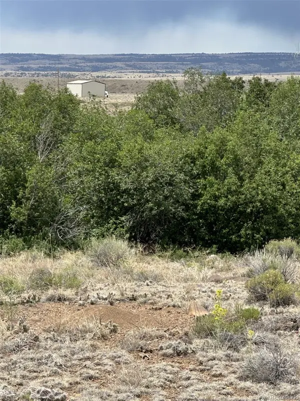 Lot 95 Prairie Wind Lane, Capulin, CO 81124