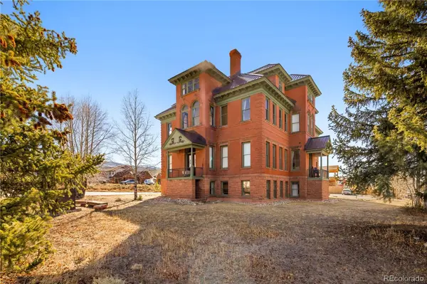401 Old Saint Vincents #401, Leadville, CO 80461