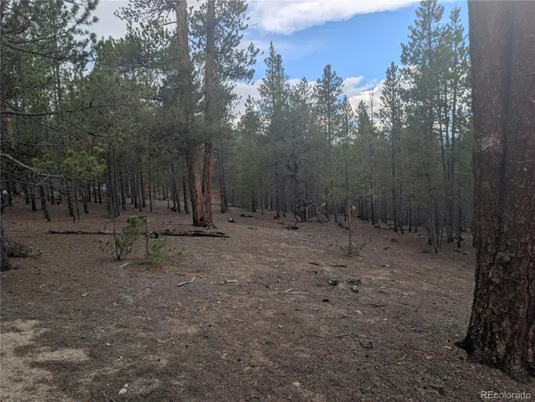 663 Spruce DR, Twin Lakes, CO 80461