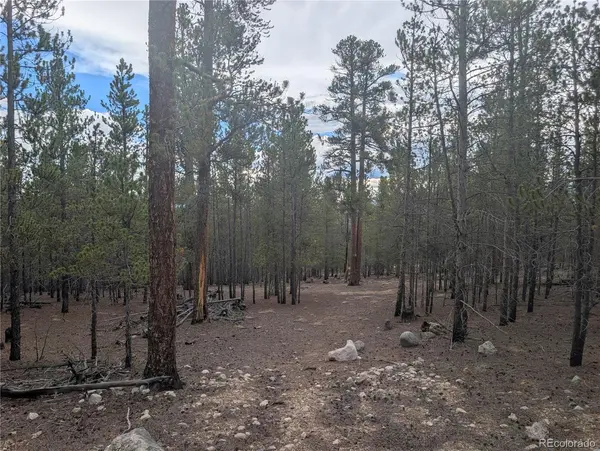 663 Spruce DR, Twin Lakes, CO 80461