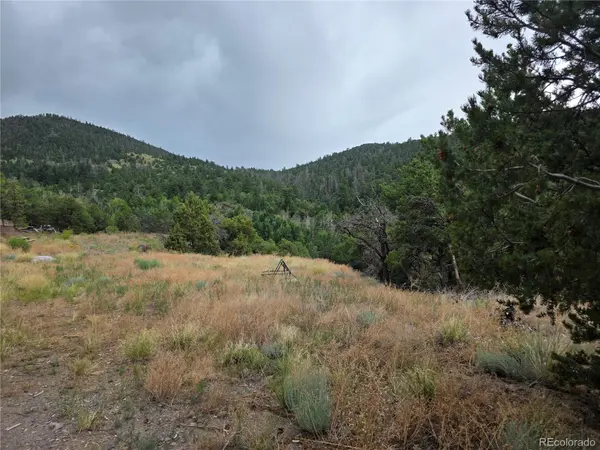 0 Joy RD, San Luis, CO 81152