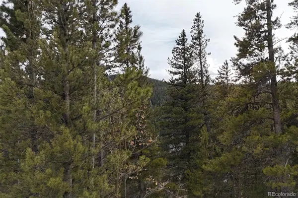 649 Vista RD,  Idaho Springs,  CO 80452
