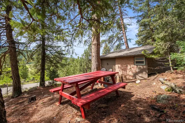 25845 Wilkerson RD, Conifer, CO 80433