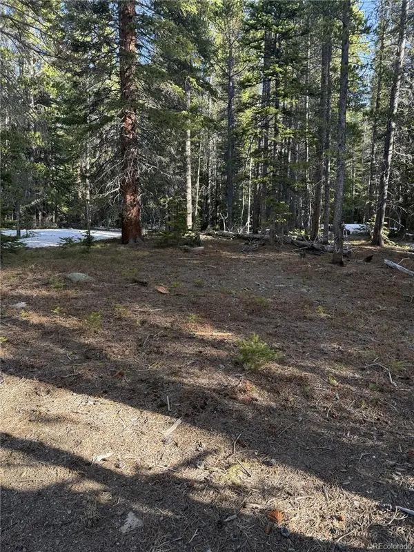 611 Silver Creek RD, Idaho Springs, CO 80452