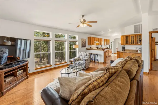 738 Rangeview RD, Divide, CO 80814