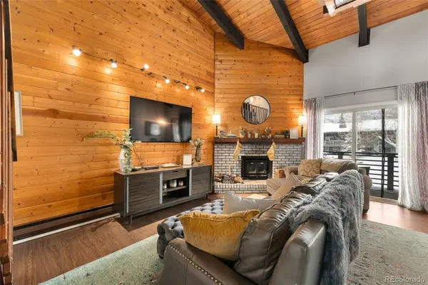 1335 Walton Creek RD #35, Steamboat Springs, CO 80487