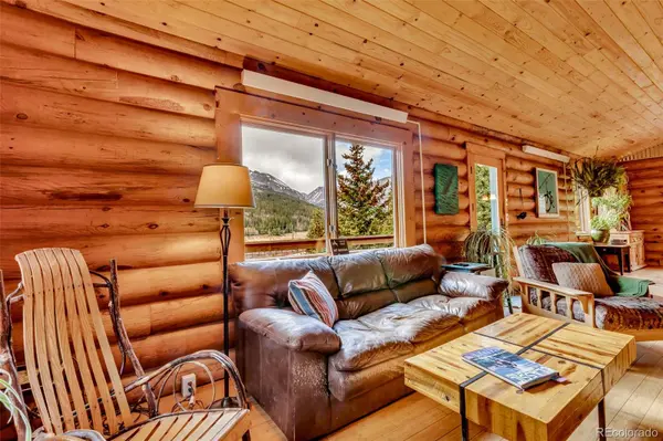 2246 County Road 4, Alma, CO 80420