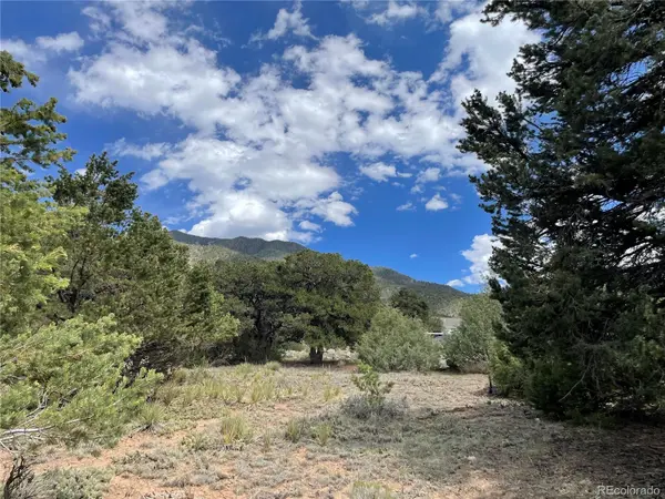 4303 Fallen Tree, Crestone, CO 81131