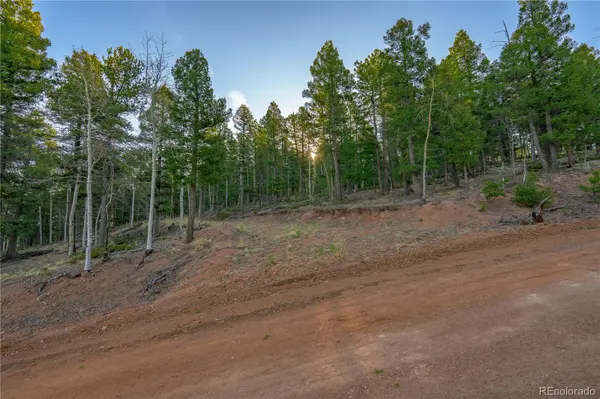 88 Malmsey LN, Divide, CO 80814