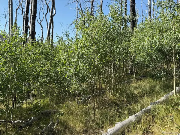 Lot 427 Kettleson PL, Fort Garland, CO 81133