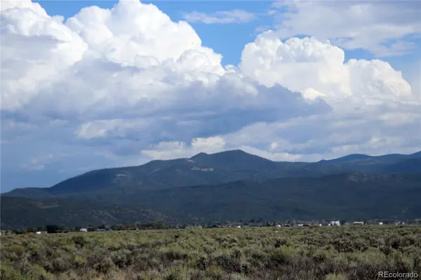 123 acres County Road 13.2, Garcia, CO 81152