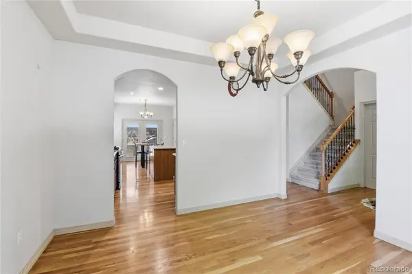 1107 S Ammons ST, Lakewood, CO 80232