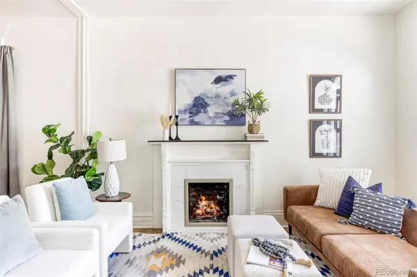 246 S Emerson ST, Denver, CO 80209
