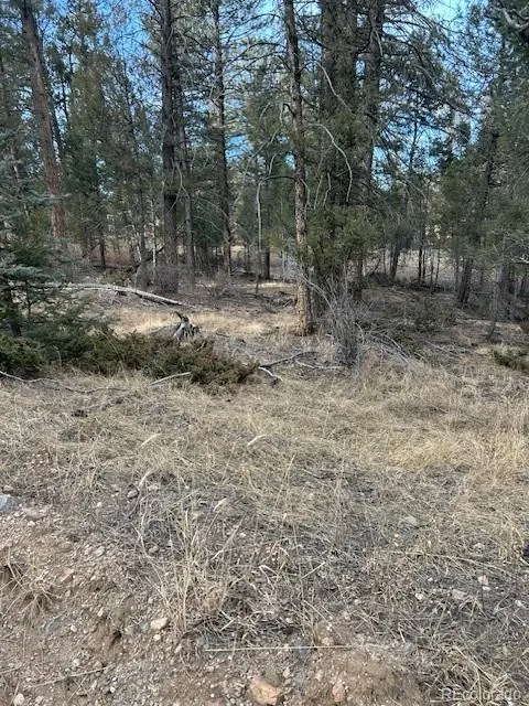 260 Ranch Resorts DR,  Florissant,  CO 80816