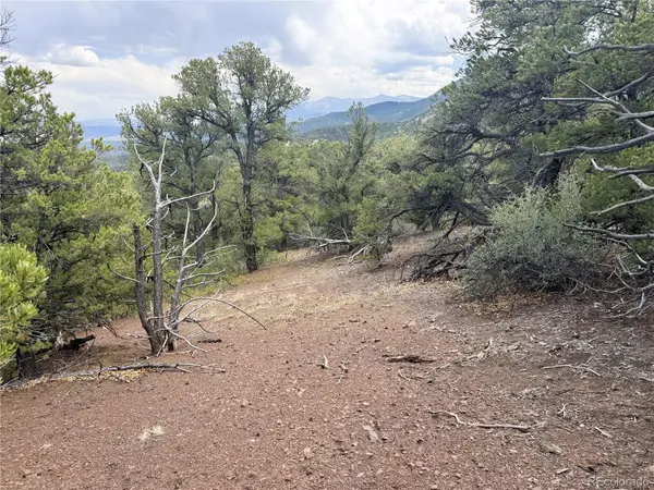 3282 Lower Camp RD, Howard, CO 81233