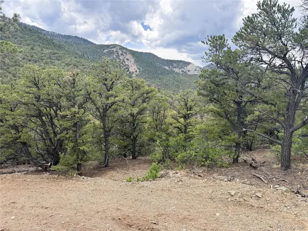 3282 Lower Camp RD, Howard, CO 81233