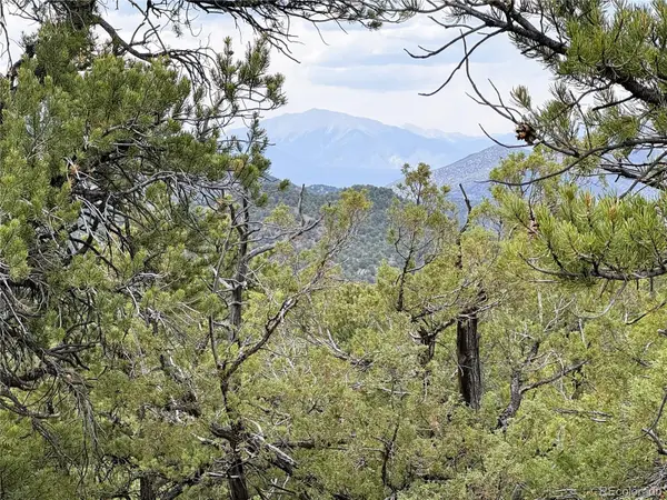 3282 Lower Camp RD, Howard, CO 81233