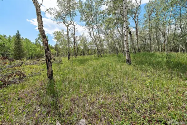 151 Golden Leaf WAY, Black Hawk, CO 80422