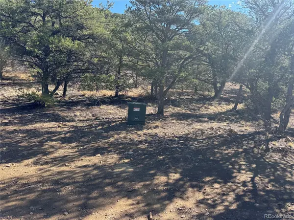 TR-143 18th TRL, Cotopaxi, CO 81223