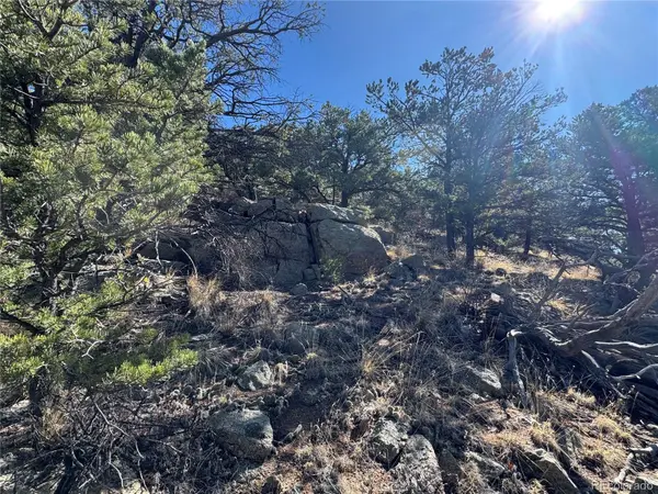 TR-143 18th TRL, Cotopaxi, CO 81223