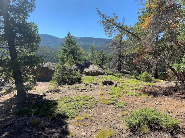 32764 Lodgepole CIR, Evergreen, CO 80439