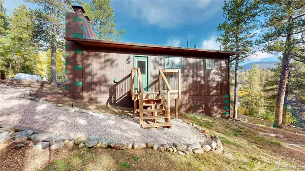 225 Renaud RD, Bailey, CO 80421