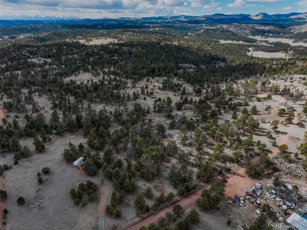 54 Ute CIR, Florissant, CO 80816