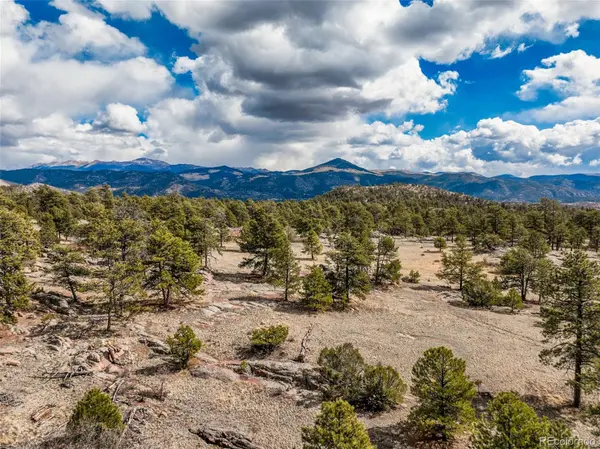 54 Ute CIR, Florissant, CO 80816