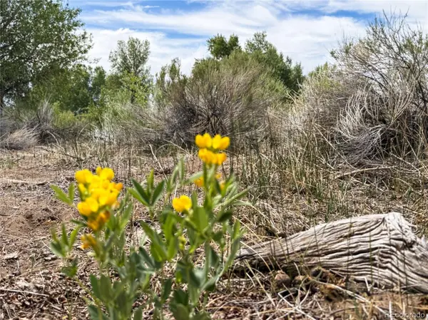 483 River Ranch RD, Antonito, CO 81120