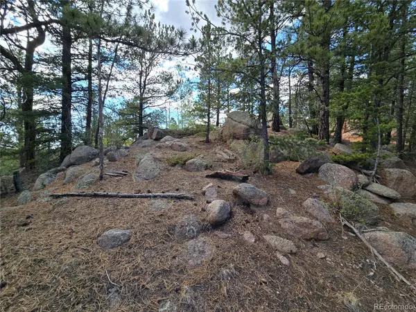 222 Blue Spruce RD, Divide, CO 80814