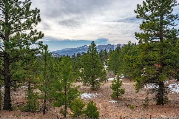 Lot 2 Spruce Mountain RD, Cotopaxi, CO 81223