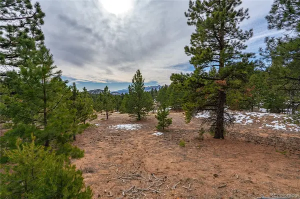 Lot 2 Spruce Mountain RD, Cotopaxi, CO 81223