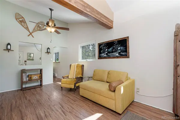 388 Saw mill LN, Idaho Springs, CO 80452