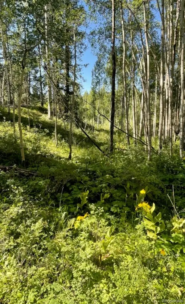 207 Camp Robber DR, Creede, CO 81130