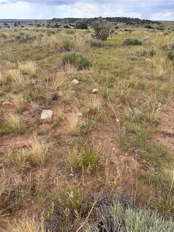 000 LOT 100 Colorado Land and Livestock Ranch, Walsenburg, CO 81069