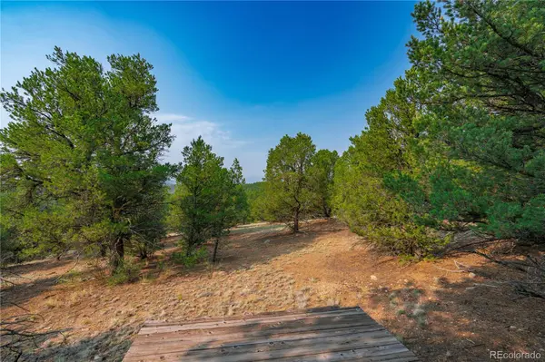 Lot 65 Elkhorn RD, Cotopaxi, CO 81223
