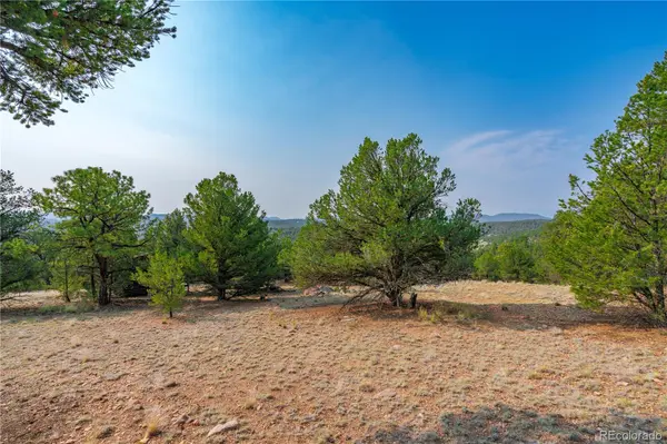 Lot 65 Elkhorn RD, Cotopaxi, CO 81223